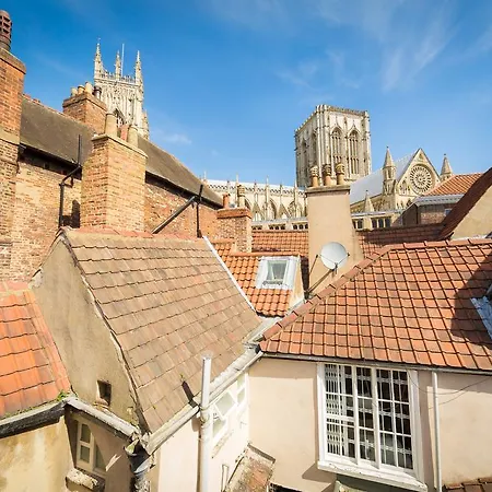 Trembling Madness York