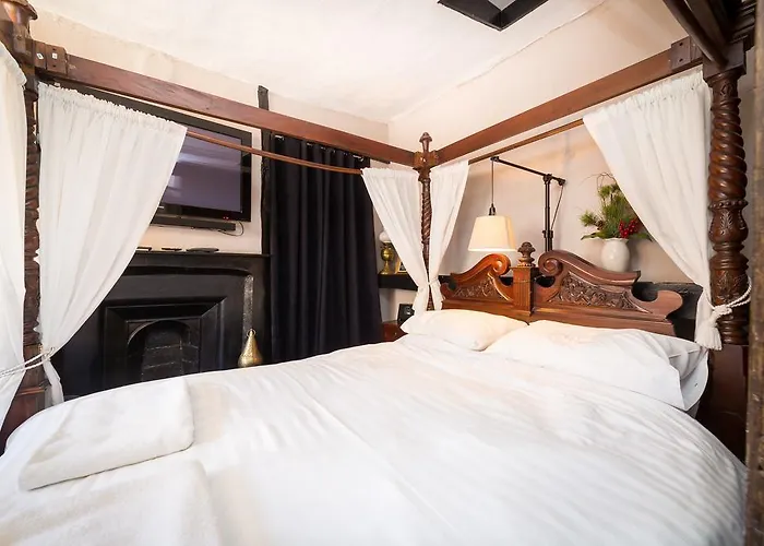 Apartment Trembling Madness York