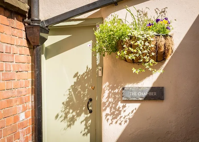 Apartment Trembling Madness