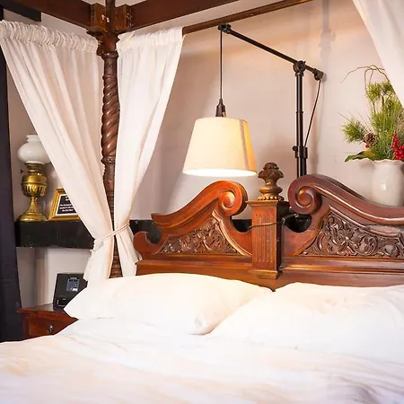 Daire Trembling Madness *