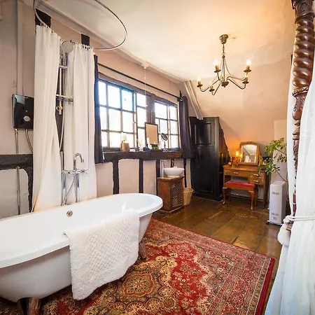 Daire Trembling Madness *